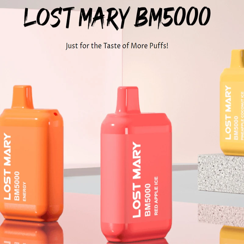 lostmaryBM5000