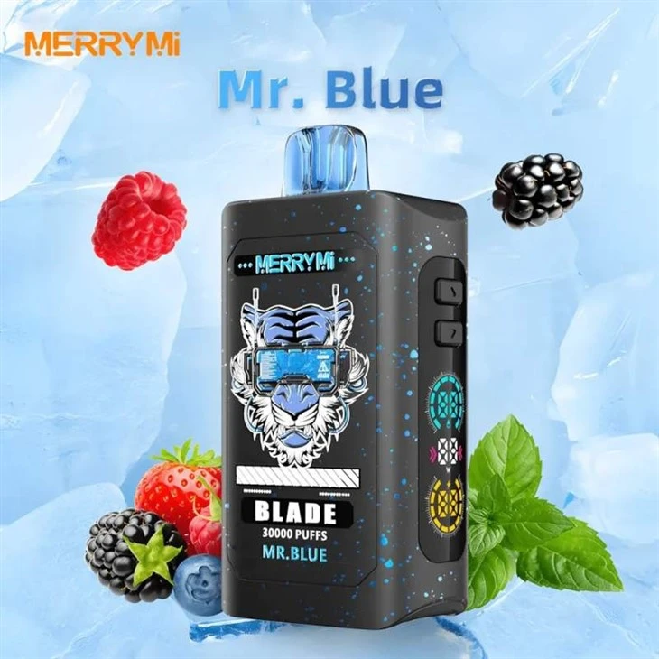 Merry Mi Blade 30000 price