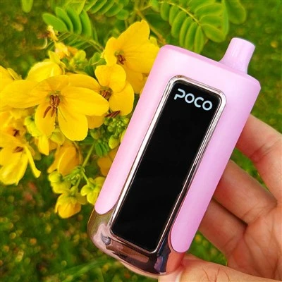 POCO FR80000 ПУФ